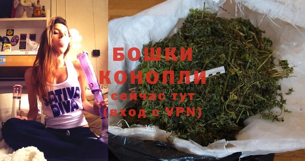 хмурый Инсар