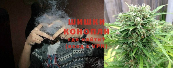 хмурый Инсар