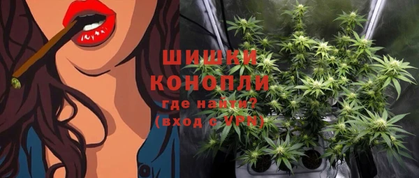 хмурый Инсар