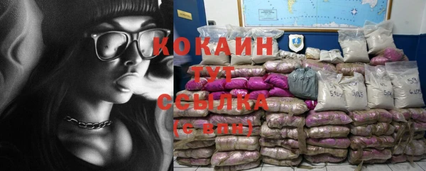 хмурый Инсар