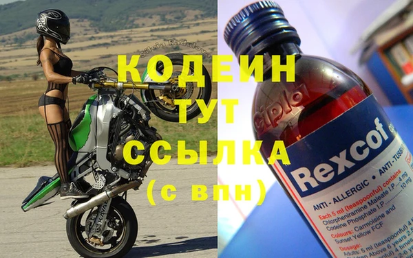 хмурый Инсар