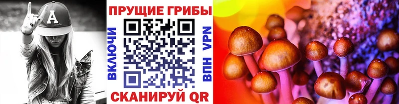 Псилоцибиновые грибы Psilocybe  Инта 