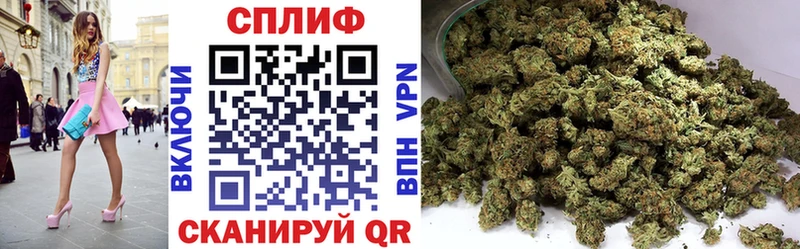 Каннабис SATIVA & INDICA  Инта 